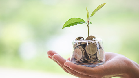A hand holding a small glass jar filled with coins, from which a small plant is growing.